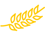 espiga-200 espiga-200